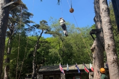 c1f9bbf6-8f6f-45f3-8b0f-0657847da6b1